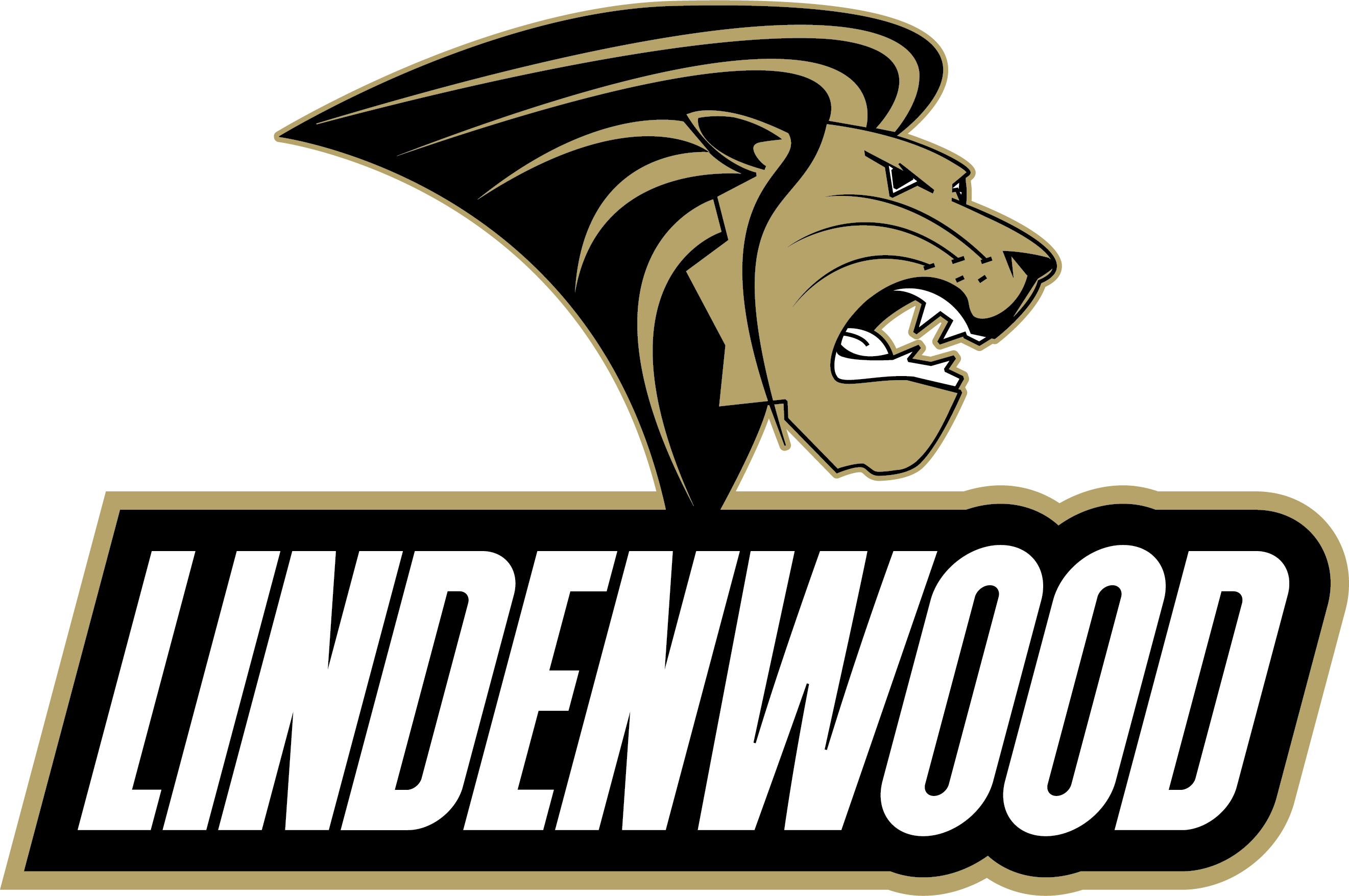 lindenwood-athletics-primary-color